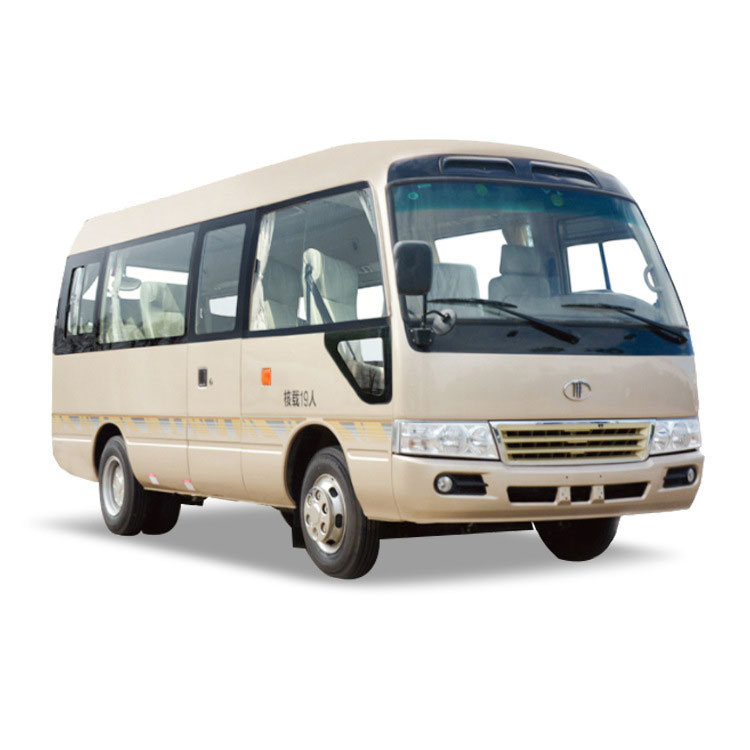 15 Seats Customized Coaster Reciption Minibus Coach 
